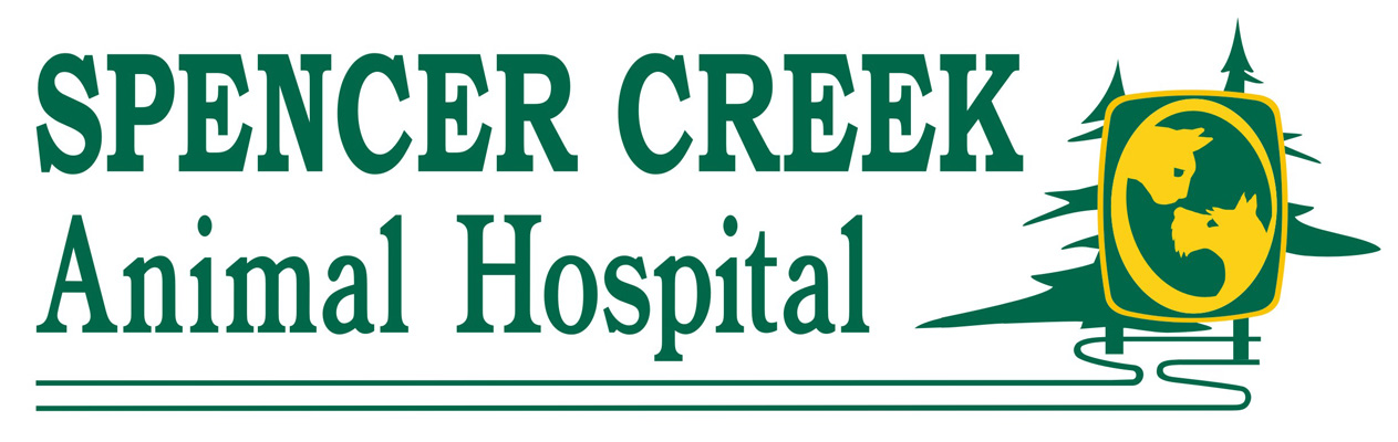 Spencer Creek Animal Hospital